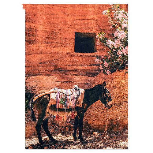 Color: Section A, Size: 50x70cm - Landscape Canvas Print Painting Poster Camel Wall Art Picture for Q119-CJZS111803105EV