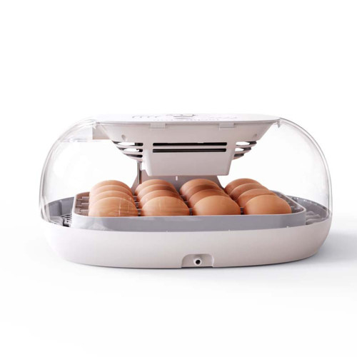 16 Egg Incubator with Automatic Egg Turning, Chicken Egg Incubator with Temperature Control and Aut K484-FQZIN_W4ADCHAZ