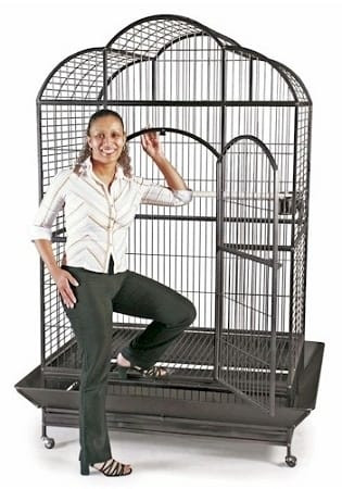 Silverado Macaw Dome Top Cage N274-ES01PP3155S