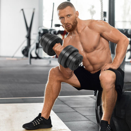 Adjustable Dumbbells 66 LBS Free Weights with Connectors for Home Gym Fitness Workout B593-SP38532US