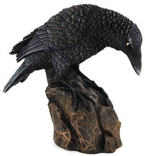Downward Looking Raven 5 1/2" H558-SR729