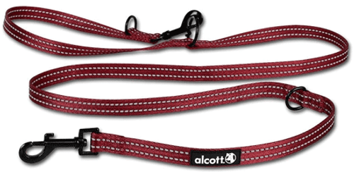 OUTWARD HOUND Dog Game Dog Casino N274-KW01OH67334