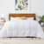 King Size Cozy All Seasons Plush White Polyester Down Alternative Comforter Q280-KIFV4599