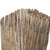 Garden Fence 118.1"x31.5" Reed A949-365756