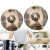 Color: Silver, Ships From: CHINA - Hi-Hat Jazz Cymbal For Music Programs Metallic Luster Shiny 8 10 F640-12000038773681683