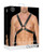 Shots Ouch Men's Large Buckle Harness - Black X615-SHTOU556BLK