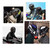 Motorcycle Helmet cool Modular Moto Helmet With Inner Sun Visor Safety Double Lens Racing Full Face K484-PAU_0BJ2WYJO