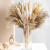 Color: Gold - 105pcs Natural Dried Flowers Pampas Floral Bouquet Boho Country Home Decoration Rabbi F640-12000036340401379