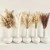 Color: Gold - 105pcs Natural Dried Flowers Pampas Floral Bouquet Boho Country Home Decoration Rabbi F640-12000036340401379