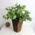 Color: Brown - 1Pc 7-Forks Artificial Plants Green Leaves Grass Simulation Plastic Fake Green Plant F640-66023916002