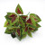 Color: Brown - 1Pc 7-Forks Artificial Plants Green Leaves Grass Simulation Plastic Fake Green Plant F640-66023916002