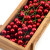 Color: Black - 30pcs Red Pearl Plastic Stamens Bead Artificial Flower small Berries Cherry For Wedd F640-65816010936