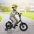 12/14/16/18 Inches Kids Bike with Removable Training Wheels and Adjustable Seatfor 3-8 Years Old Bl D681-TS10252DK-12