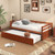 Twin Size Trundle Platform Bed Frame with  Wooden Slat Support-Walnut - Color: Walnut D681-HW64316HT