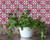 6" X 6" Rosa Pink Lea Removable Peel and Stick Tiles N270-400232