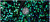Color: Brown, Size: L - Shiny Green Sequins Bling Glitter Blazer Men 2023 Shawl Collar One Button T F640-12000027274979542