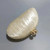 Color: PURPLE - 2024 New Hot Sale Acrylic Shell Shape Clutch Bag Women Designer Evening Party Cute  F640-12000038660912971