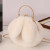 Color: Khaki - Adorable Rabbit Ears Fluffy Crossbody Bag Women Stylish Chain Shoulder Handbag New F640-12000051755126130