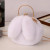 Color: Khaki - Adorable Rabbit Ears Fluffy Crossbody Bag Women Stylish Chain Shoulder Handbag New F640-12000051755126130