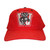 Wisconsin Badgers Flashing Fiber Optic Cap A706-3175000