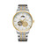 Color: Gold Steel Belt White - High-end Business Automatic Mechanical Watch Men Q119-CJJX248977206FU