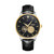Color: Black Belt Silver Case Gold - High-end Business Automatic Mechanical Watch Men Q119-CJJX248977215OL