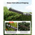 Gas Hedge Trimmer, 2 Cycle Gas Power Handheld Trimmer, 6-in-1 26cc Weed Eater with Extension Pole & E415-RQLLJDGN7H1G3TWP9001V0