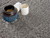 4' X 6' Gray Modern Solid Shag Area Rug N270-392377