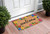 24" X 36" Natural and Black Coir Floral Welcome Outdoor Door Mat N270-555219