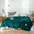 Color: Green, Size: 180x200 - Flannel sheets Solid blanket Q119-CJJJJFCZ00025-Green-180x200