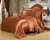 Pattern: Light Coffee, Size Specification: 1.2m fitted sheet Four piece - Artificial Silk Double-si Q119-CJYD224229092NM