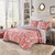 Full/Queen Pink Blue Reversible Floral Llama 100-Percent Cotton Quilt Set Q280-PBLP5788