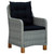 vidaXL Garden Chair Set of 2 Light grey, black A949-313318