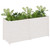 vidaXL Garden Planter White Solid Pinewood Large Durable A949-810755