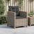 vidaXL Garden Chair Grey PE rattan, powder-coated steel, solid acacia wood A949-366322