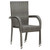 vidaXL Dining Chair Set of 2 Grey Poly Rattan Standard Stackable A949-46464
