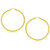 14k Yellow Gold Polished Hoop Earrings (3x50mm) P150-81969