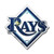 Tampa Bay Rays Auto Emblem - Color Z157-8162063128
