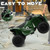 12V Kids Ride On ATV with High/Low Speed and Comfortable Seat-Army Green - Color: Army Green D681-TQ10122US-GN