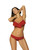red - Swimsuit two piece model 112224 Marko U704-112224