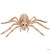 Skeleton spider se18215 M680-SE18215