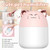 Portable Led Mini Humidifier 250ml Cartoon Cat Tiger Office Home Mist Purifier Night Light White K484-PHO_0X8IJ874