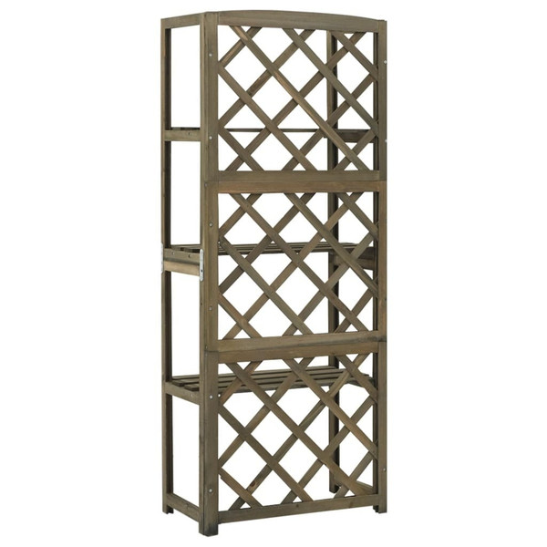 Trellis Gray Solid fir wood 21.7x11.8x55.1 in Shelving Trellis A949-316410