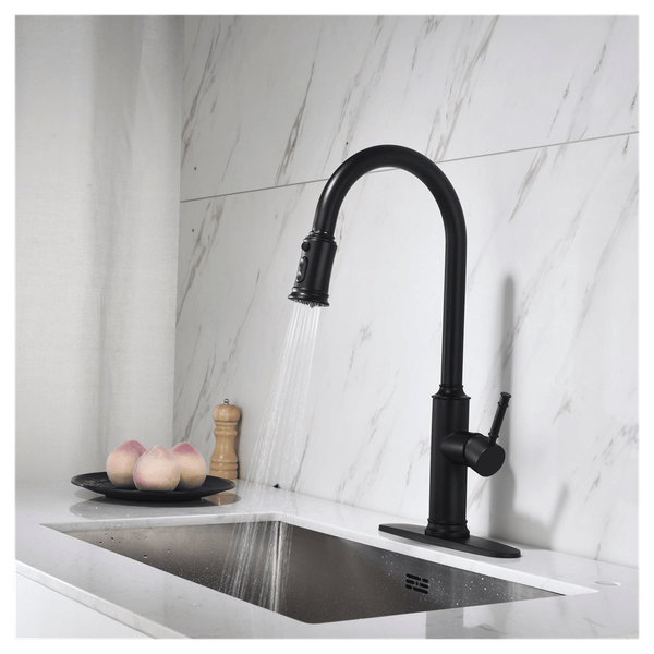 Single Handle Pull Down Kitchen Faucet with Dual Function Sprayhead T575-S0671279404