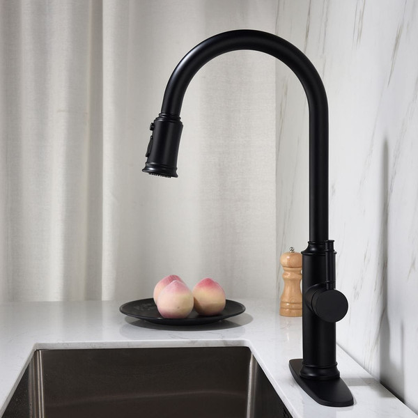 Single Handle Pull Down Kitchen Faucet with Dual Function Sprayhead T575-S0671279404