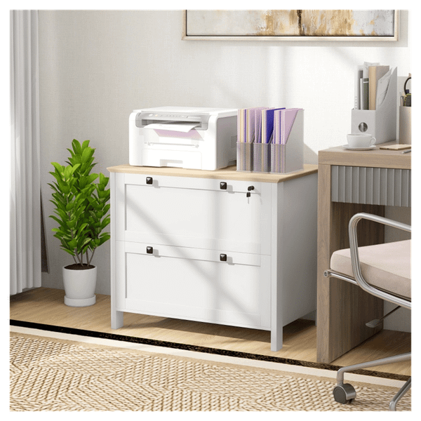 File cabinets, storage cabinets T575-S0671441216