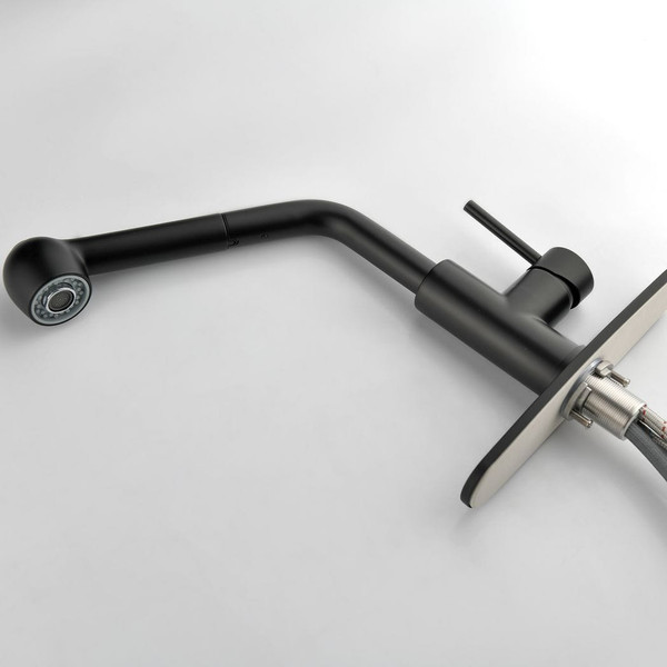 Single-Handle Pull-Out Sprayer Kitchen Faucet in Stainless Matte Black T575-S0671281774