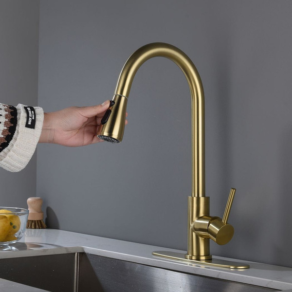 Kitchen Faucet with Pull Out Spraye T575-S0671282601