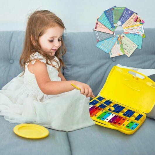 25 Notes Kids Glockenspiel Chromatic Metal Xylophone-Pink B593-MU10038