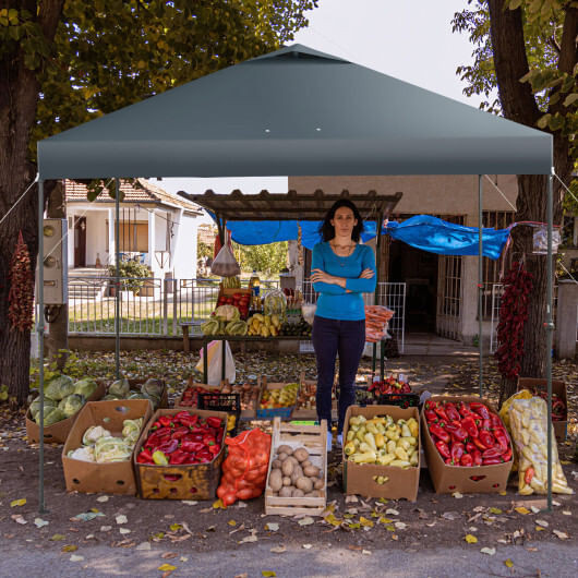 10 x 10 Feet Foldable Outdoor Instant Pop-up Canopy with Carry Bag-Gray - Color: Gray D681-NP10847GR